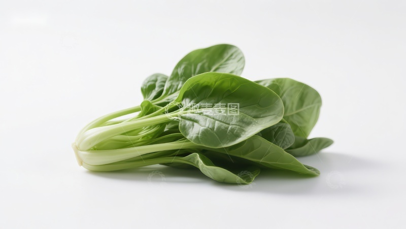 高清大图下载【趣麦麦图】新鲜绿色菠菜特写