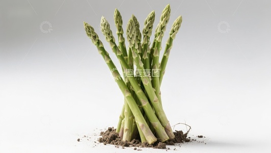 新鲜出土的绿色芦笋