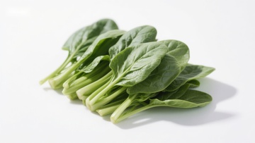 新鲜菠菜叶特写