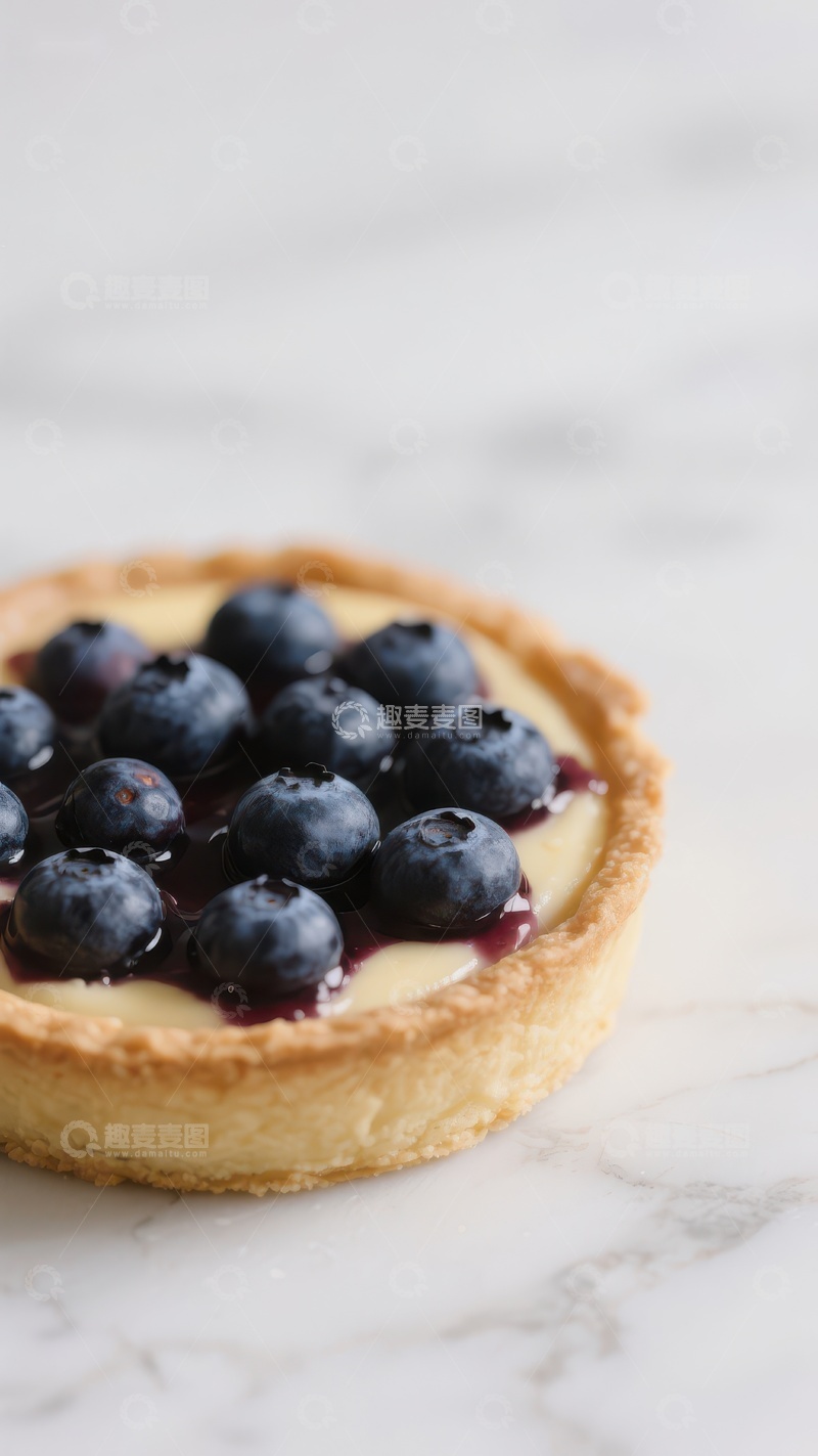 高清大图下载【趣麦麦图】蓝莓奶油挞，清新美味