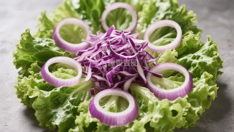 高清大图下载【趣麦麦图】紫甘蓝洋葱生菜沙拉
