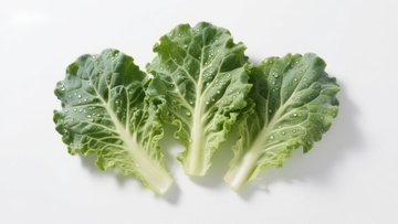 新鲜绿叶蔬菜特写