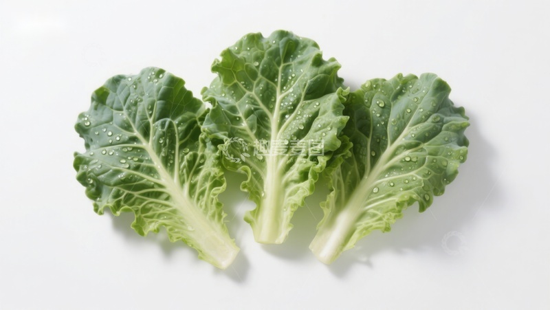高清大图下载【趣麦麦图】新鲜绿叶蔬菜特写