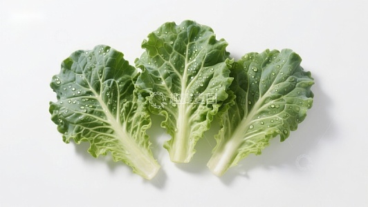 新鲜绿叶蔬菜特写