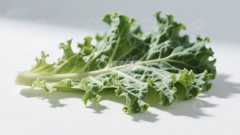高清大图下载【趣麦麦图】新鲜羽衣甘蓝叶片特写