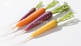 彩色胡萝卜静物展示