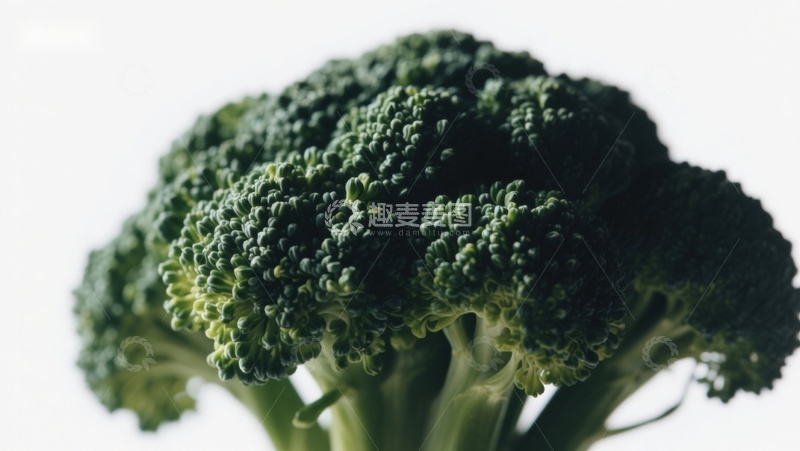 高清大图下载【趣麦麦图】新鲜西兰花特写