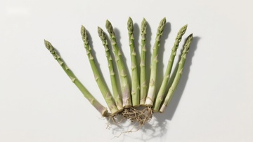新鲜芦笋特写