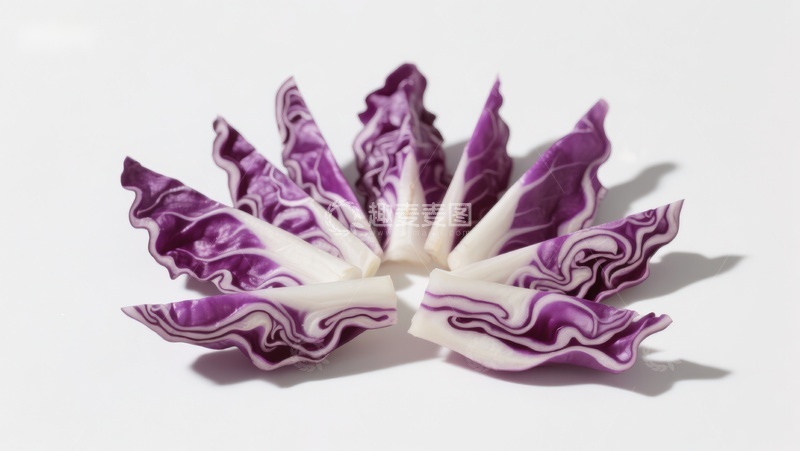 高清大图下载【趣麦麦图】紫甘蓝切片艺术摆盘