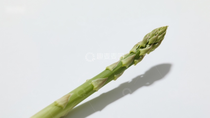 高清大图下载【趣麦麦图】新鲜芦笋特写