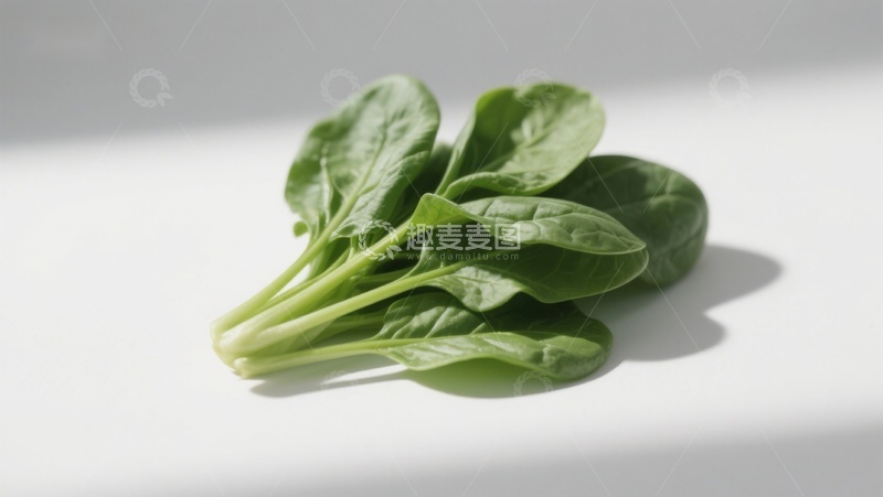 高清大图下载【趣麦麦图】新鲜菠菜叶特写
