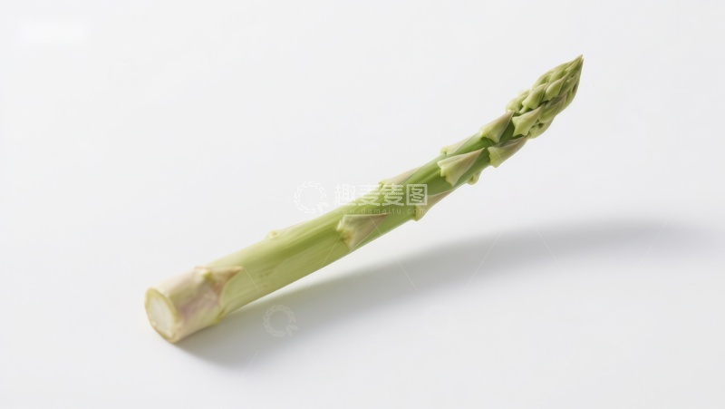 高清大图下载【趣麦麦图】一根新鲜芦笋特写