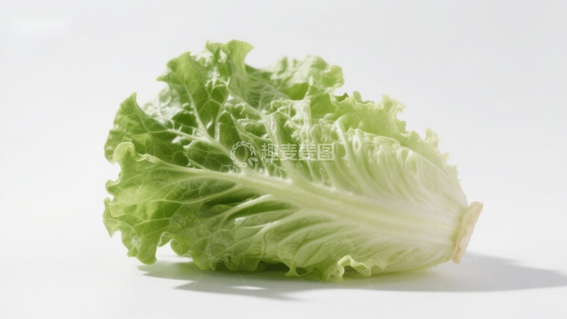 高清大图下载【趣麦麦图】新鲜生菜叶片特写