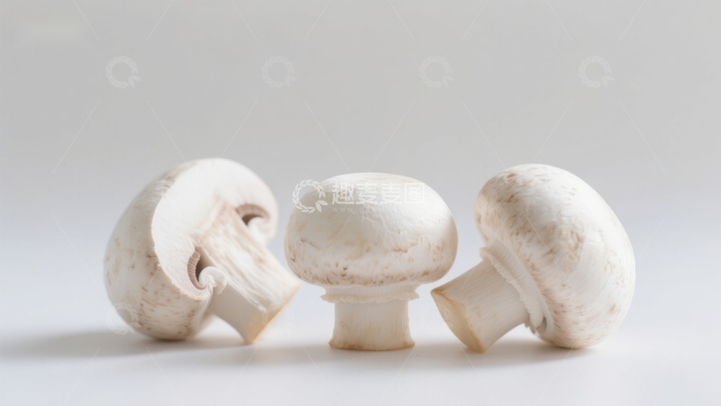 高清大图下载【趣麦麦图】三颗白色蘑菇静物