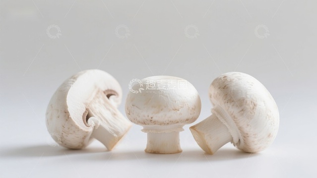 三颗白色蘑菇静物