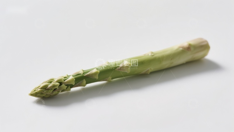高清大图下载【趣麦麦图】一根新鲜的芦笋
