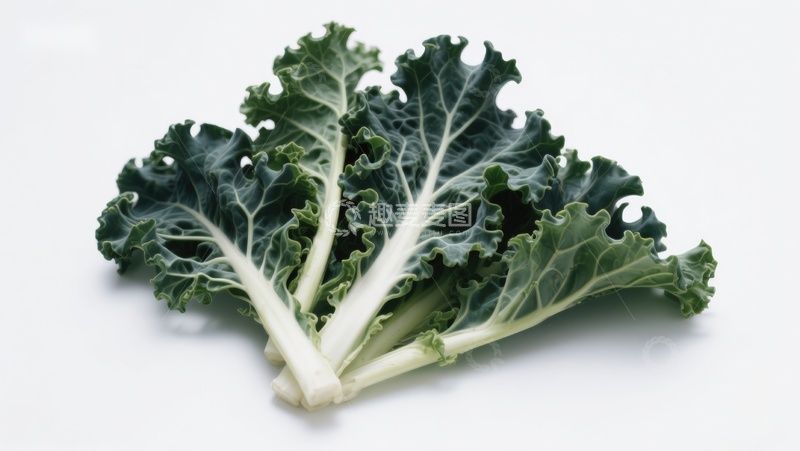 高清大图下载【趣麦麦图】新鲜羽衣甘蓝叶片特写