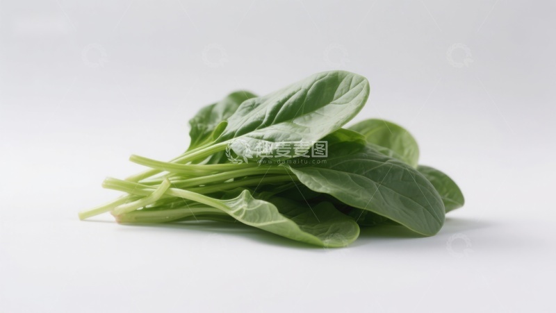 高清大图下载【趣麦麦图】新鲜菠菜叶特写