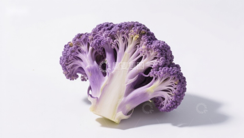 高清大图下载【趣麦麦图】紫色花椰菜特写