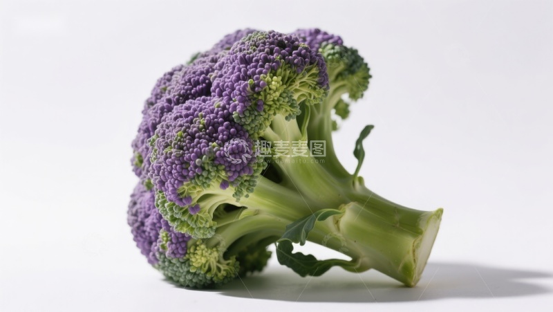 高清大图下载【趣麦麦图】紫色西兰花特写