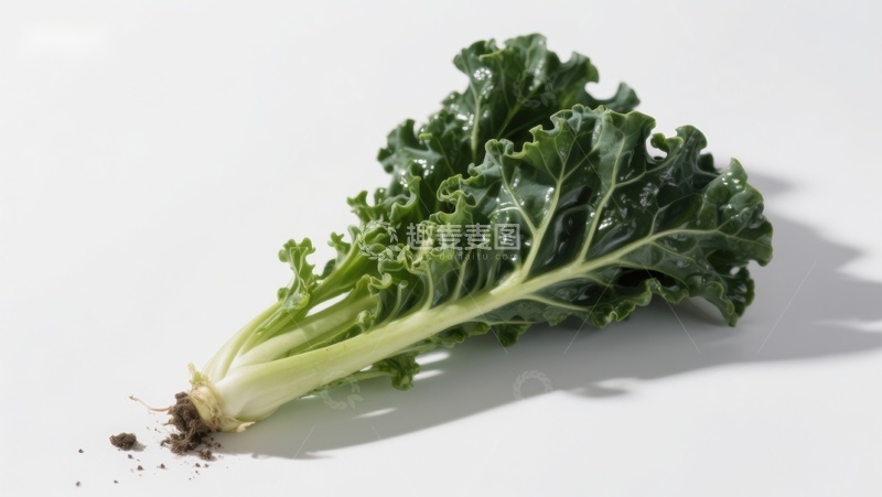 高清大图下载【趣麦麦图】新鲜羽衣甘蓝特写