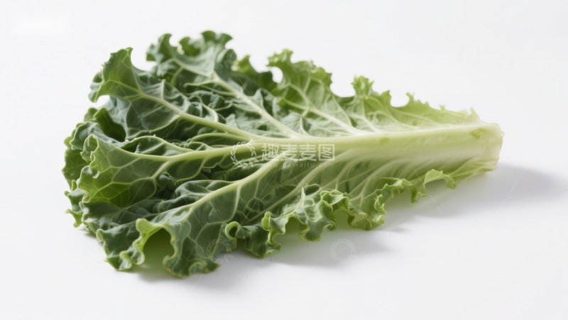 高清大图下载【趣麦麦图】新鲜羽衣甘蓝叶片特写