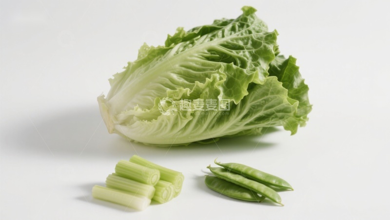 高清大图下载【趣麦麦图】生菜与蔬菜切段静物