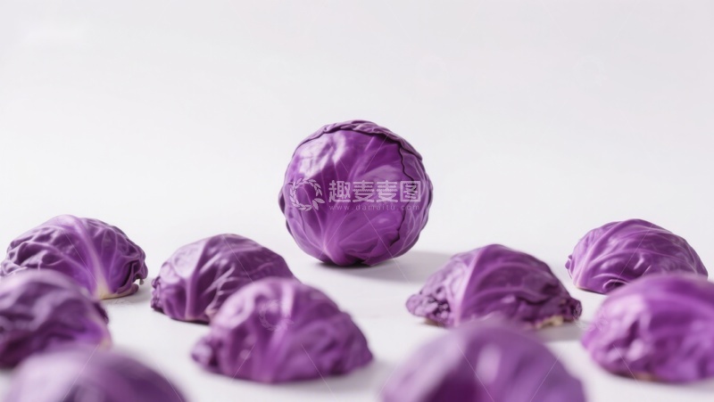高清大图下载【趣麦麦图】紫色卷心菜静物展示