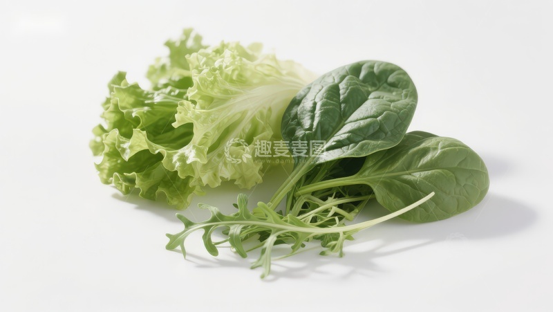 高清大图下载【趣麦麦图】新鲜绿叶蔬菜组合