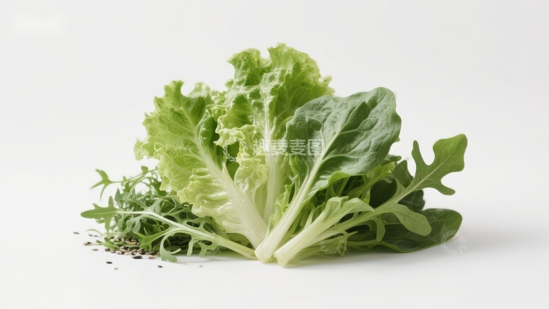 高清大图下载【趣麦麦图】新鲜绿叶蔬菜特写