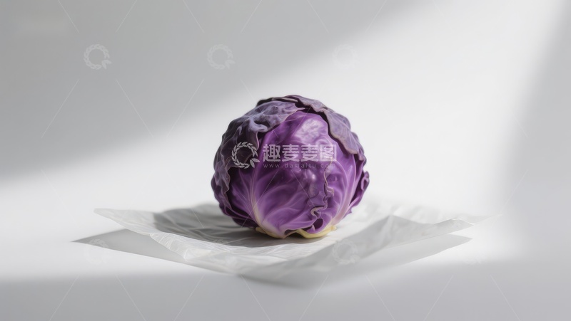 高清大图下载【趣麦麦图】紫甘蓝静物特写