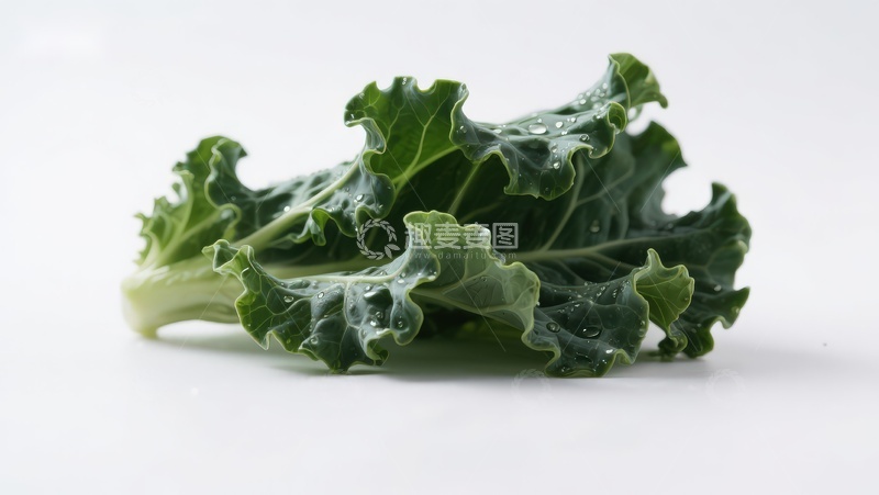 高清大图下载【趣麦麦图】新鲜羽衣甘蓝特写