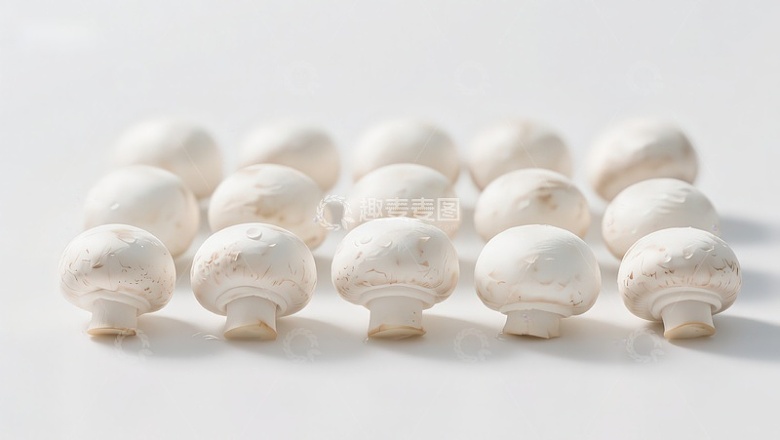 白色蘑菇排列特写
