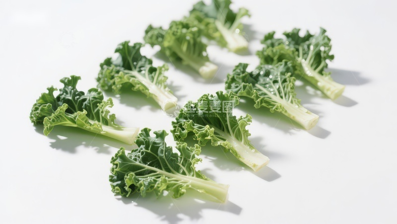 高清大图下载【趣麦麦图】新鲜羽衣甘蓝叶片排列