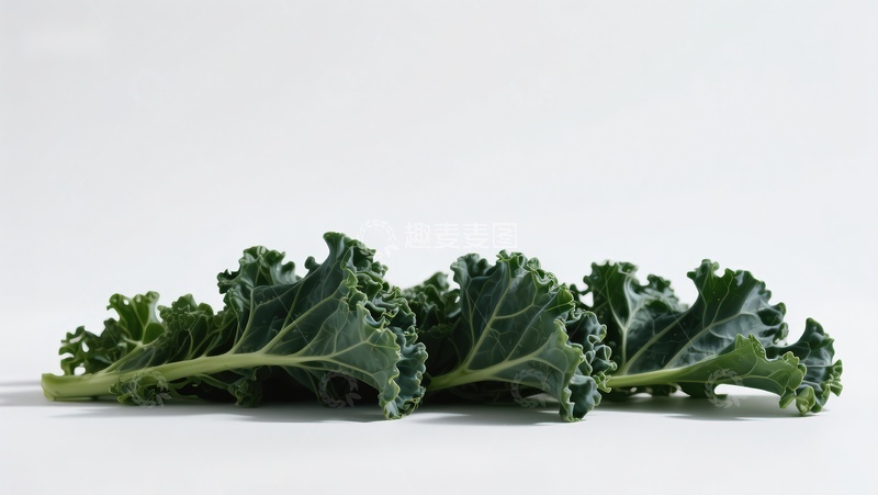 高清大图下载【趣麦麦图】新鲜羽衣甘蓝叶片特写