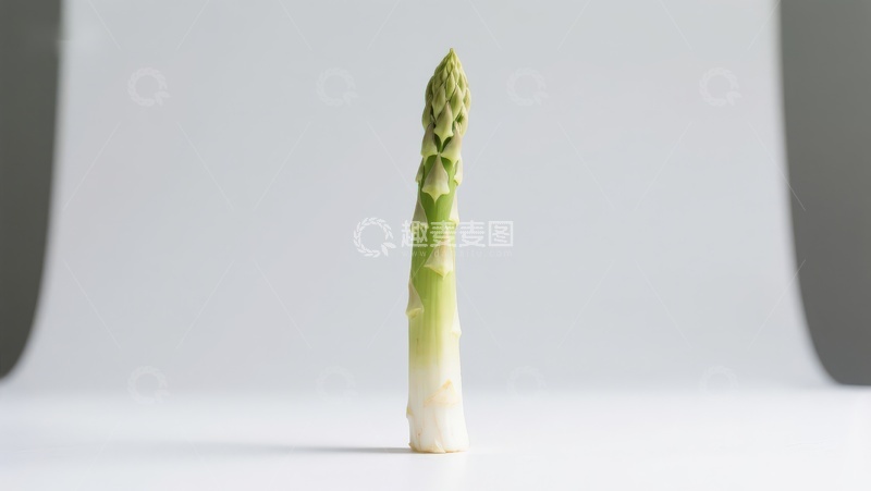高清大图下载【趣麦麦图】单根芦笋静物特写