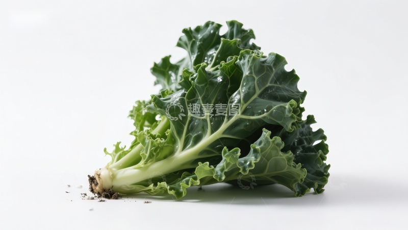 高清大图下载【趣麦麦图】新鲜羽衣甘蓝特写