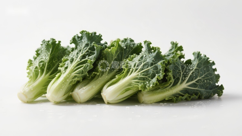 高清大图下载【趣麦麦图】新鲜羽衣甘蓝排列展示