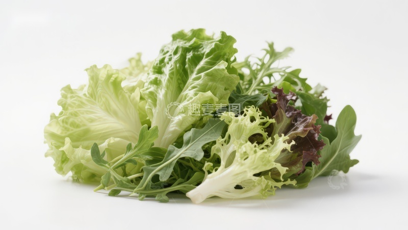 高清大图下载【趣麦麦图】新鲜混合生菜特写