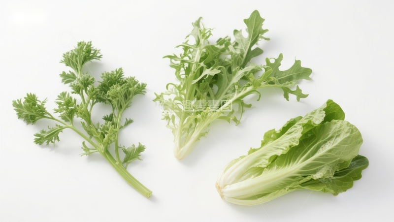 高清大图下载【趣麦麦图】三种绿色叶菜特写