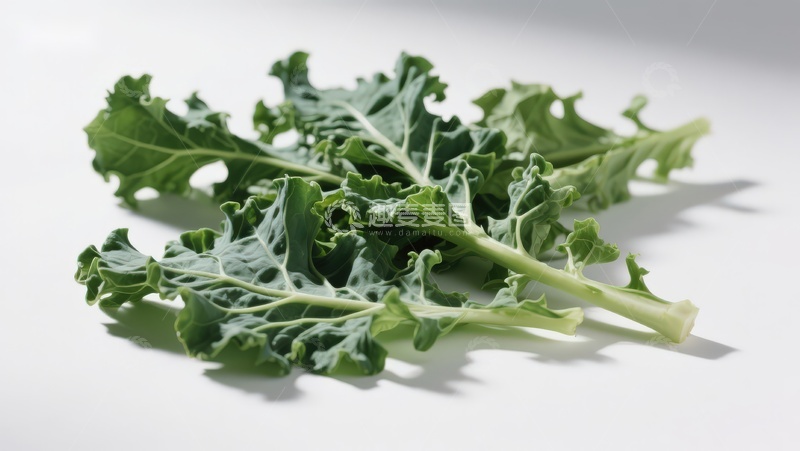 高清大图下载【趣麦麦图】新鲜羽衣甘蓝叶片特写