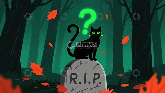 墓碑上的黑猫与问号
