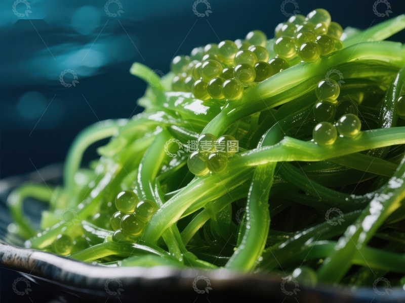 高清大图下载【趣麦麦图】新鲜海葡萄特写