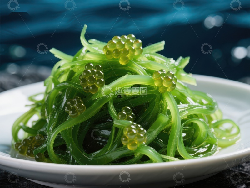 高清大图下载【趣麦麦图】海葡萄沙拉，清新绿色美食