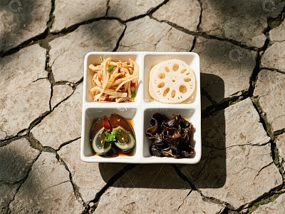 四格盘中的多样食材