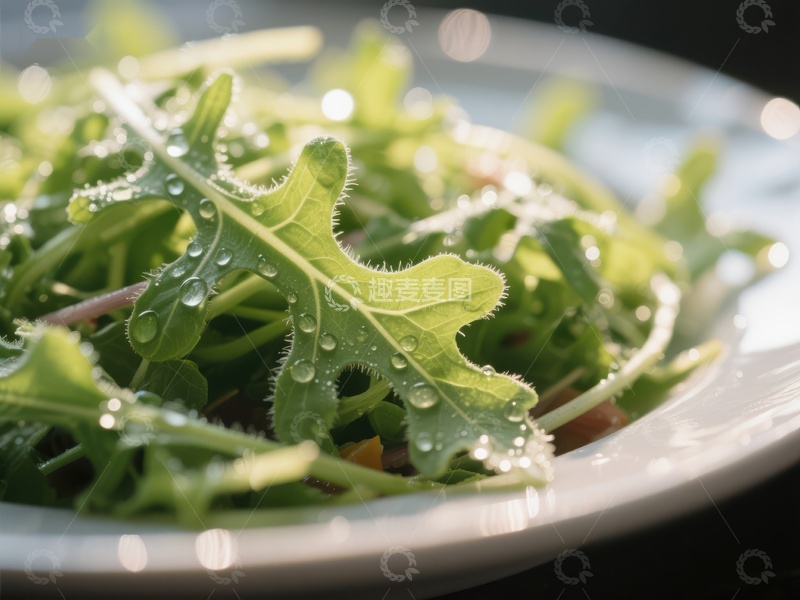 高清大图下载【趣麦麦图】新鲜绿叶沙拉特写