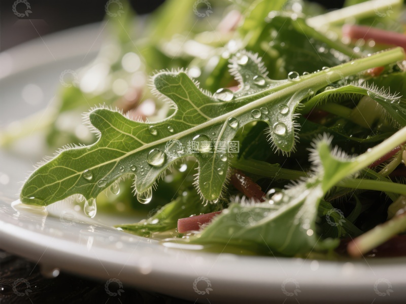 高清大图下载【趣麦麦图】新鲜绿叶沙拉上的水珠特写