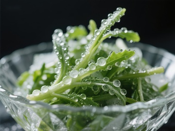 晶莹水珠点缀的绿叶蔬菜