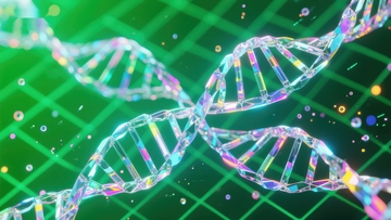 彩虹DNA双螺旋结构