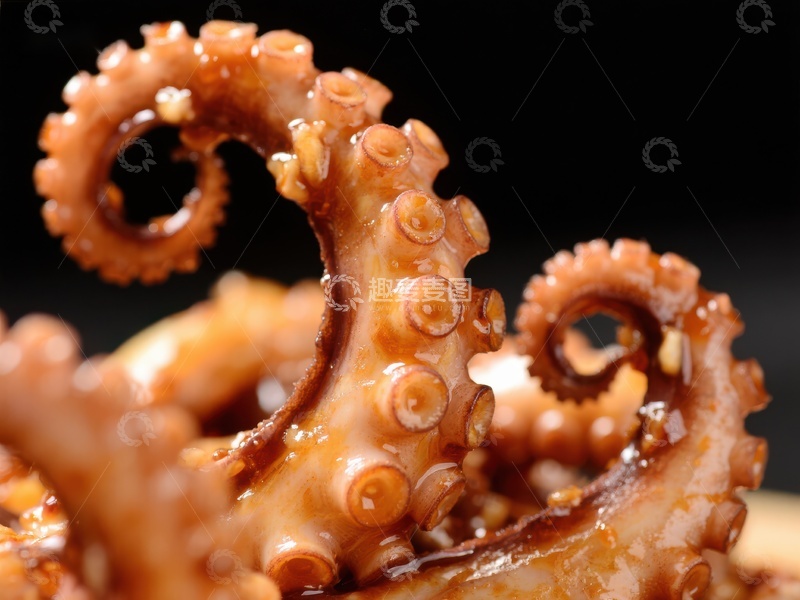 高清大图下载【趣麦麦图】酱汁淋洒的章鱼触手特写
